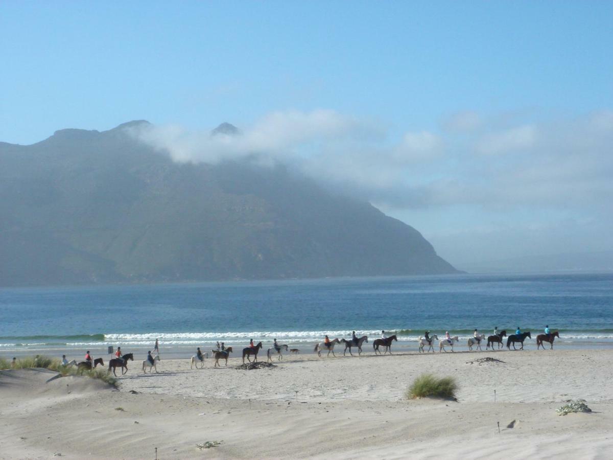 Chapmans Peak Beach Hotel Hout Bay Extérieur photo